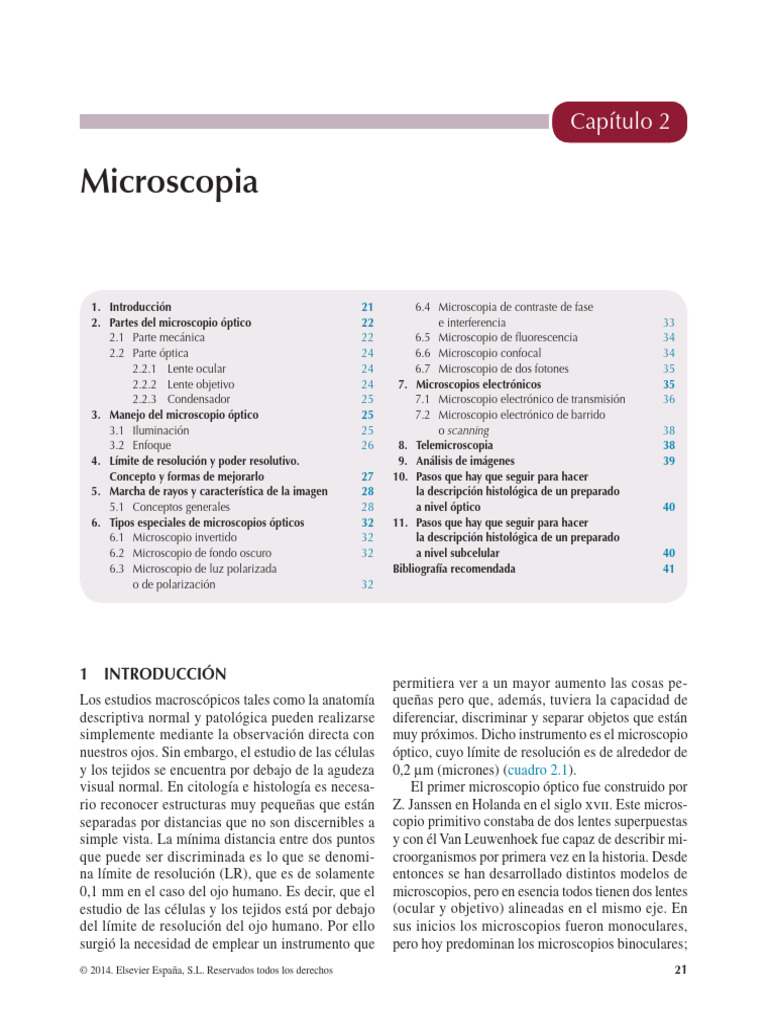 Microscopia Brusco PDF | PDF | Lente de la cámara | Resolución angular