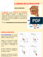 diapositiva de la lengua 1_Jannet_Alvarado