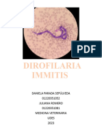 Dirofilaria Immitis