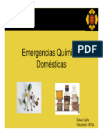 Emergencias Quimicas Domesticas