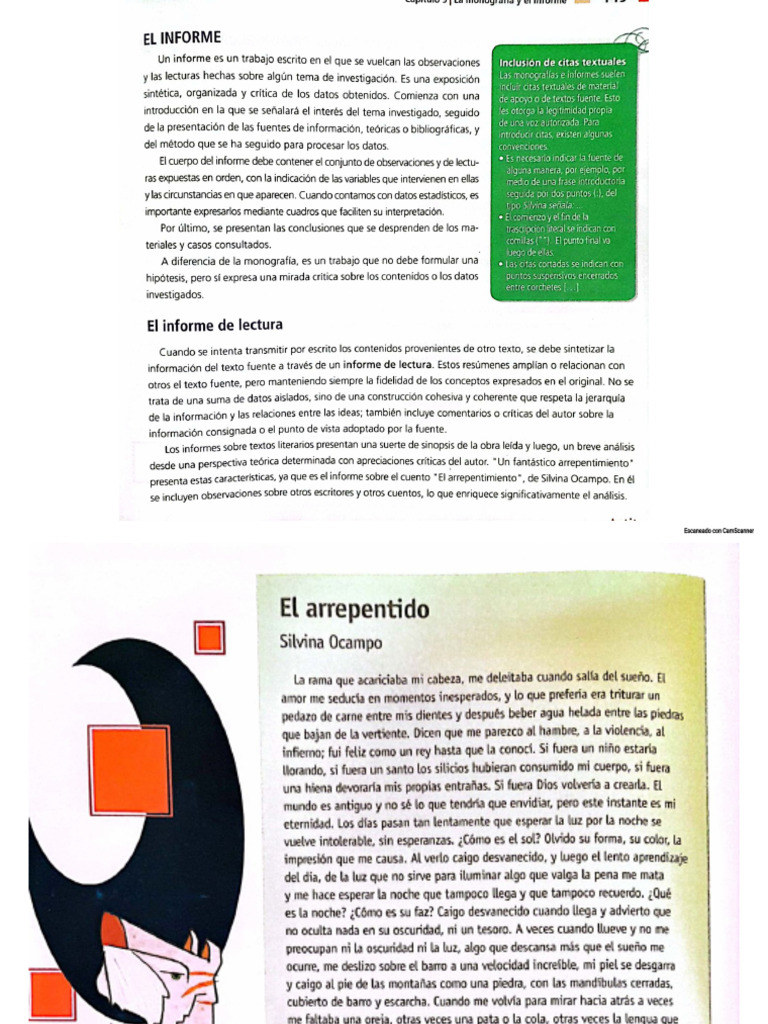 El Informe De Lectura Pdf