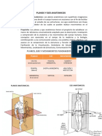 Definicion y Proposito de Planos y Ejes Anatomicos
