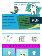 Funciones de Los Dientes