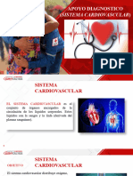 Diapositivas Sistema Cardiovascular Tay