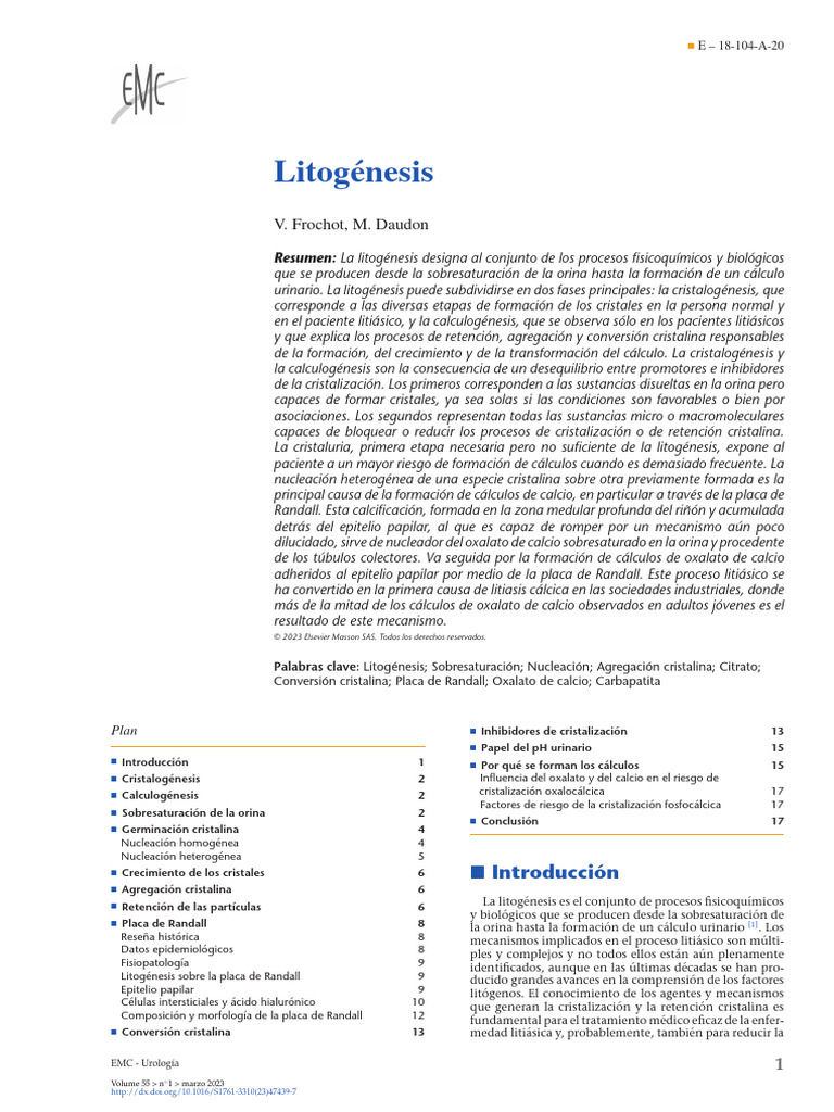Procesos de Litogénesis y Cálculos Urinarios | PDF | Crecimiento ...