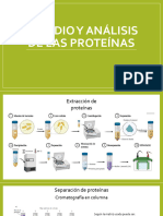 Estudio y Analisis de Proteinas