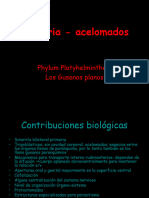 1 - Platelmintos Generalidades