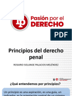 Sesión 20 Principios Del Derecho Penal LP Derecho