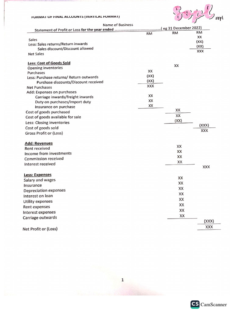 Accounting Format PDF