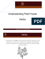 PLANTS FOOD - Herbs - Slides