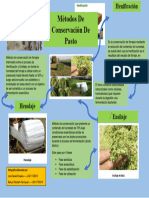 Infografia - Metodos - de - Conservacion - de - Pasto-1