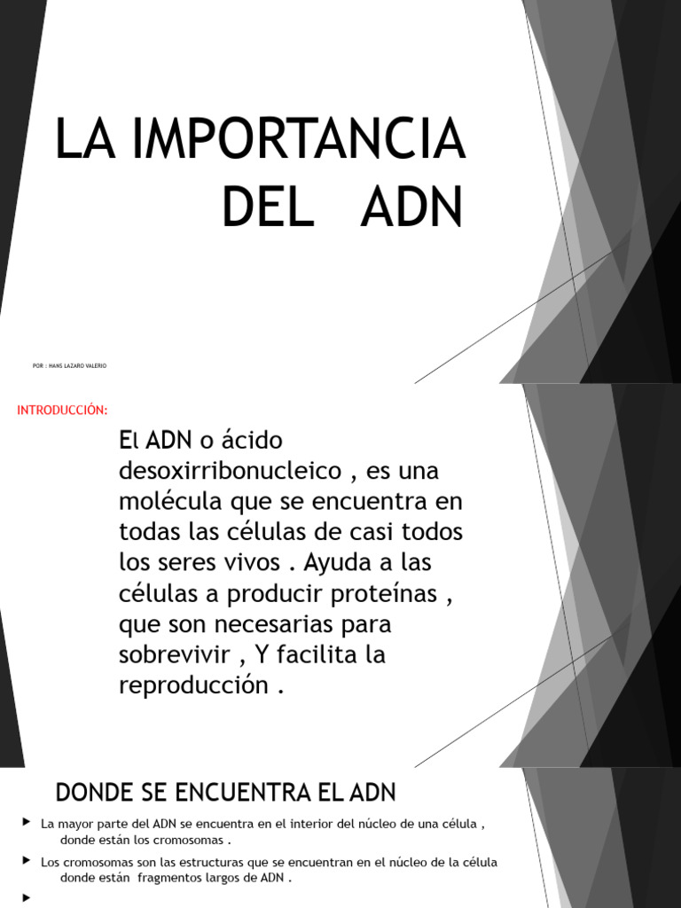 La Importancia Del Adn | PDF | Adn | Codigo genetico