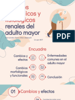 Cambios Anatómicos y Fisiológicos Renales Del Adulto Mayor