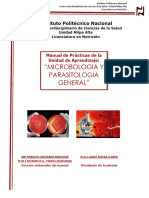 Formato de Manuales MICRO