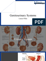 Genitourinary Systems