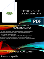 Efectos y Daños de La Marihuana CARLOS MEJIA