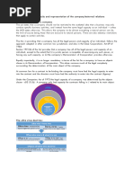 Topic 8 - Legal Capacity and Representation of The Company