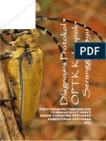 Diagnosis Protokol OPTK Kelompok Serangga Kayu