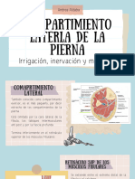 Compartimiento Laterla de La Pierna