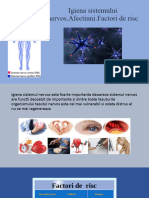 Igiena Sistemului Nervos - Afectiuni.Factori de Risc: Smoleac Nicoleta Tur 213