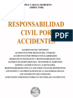Roberto Lopez Cabana - Responsabilidad Civil Por Accidentes