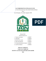 Laporan Praktikum Biologi Dasar Kel 1-TIPA B