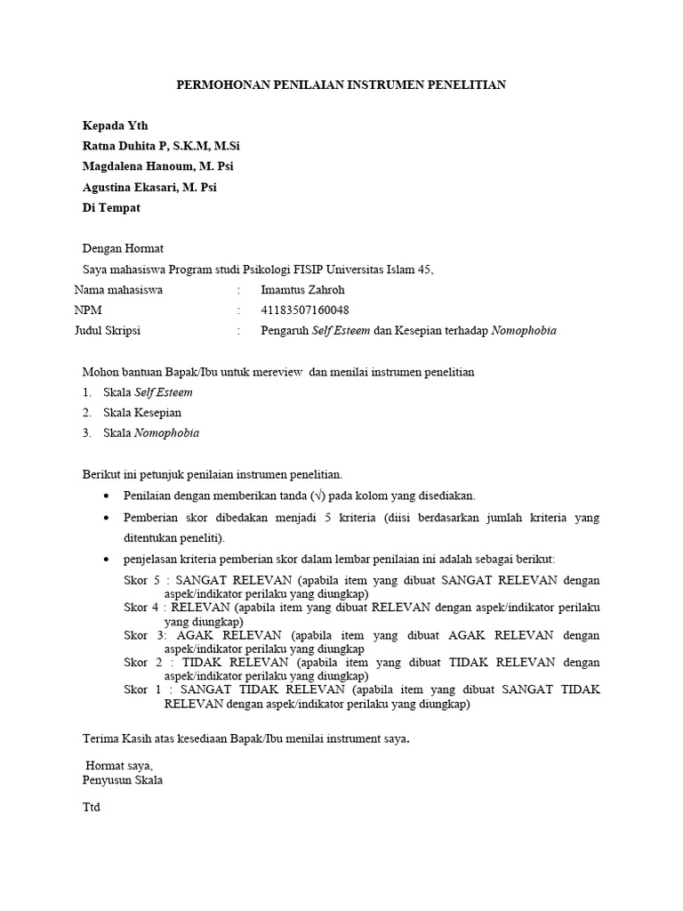 Format Expert Judgement | PDF