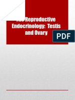 Lecture Reproductive - Glands Final