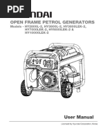 Hyundai HY10000LEK 2 Datasheet