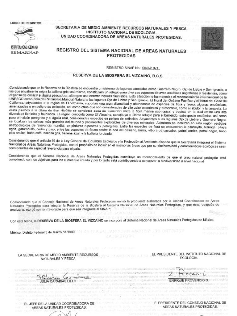 116 sinap pdf