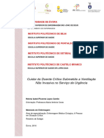 Mestrado - Enfermagem - Enfermagem Médico-Cirúrgica, A Pessoa em Situação Crítica - Helena Isabel Picareta Lopes Camilo - Cuidar Do Doente Crítico...