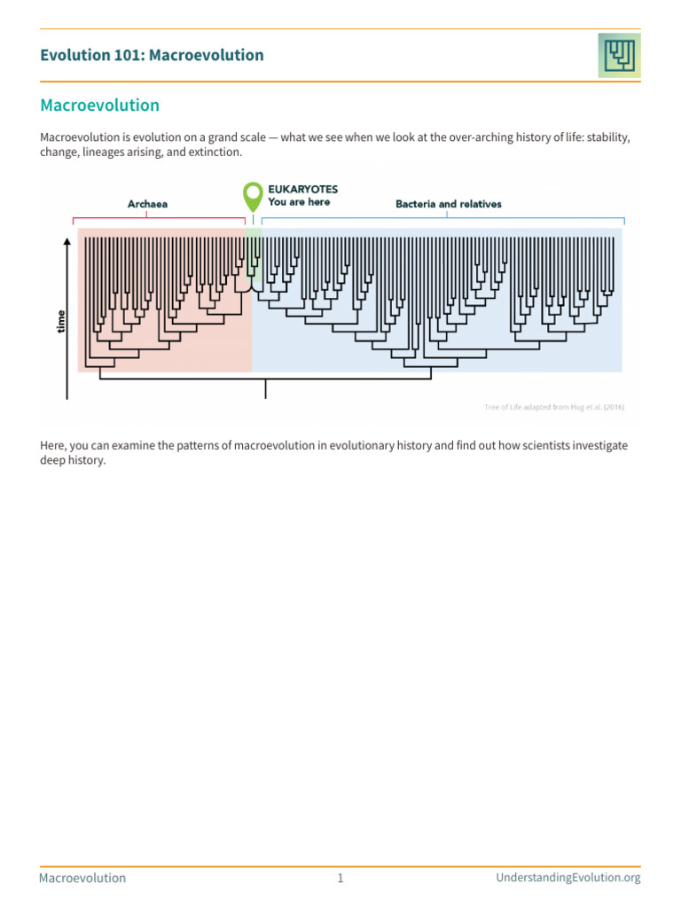 Evo101 06 Macroevolution UE | PDF | Evolution | Null Hypothesis