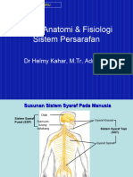 Anfis Persyarafan