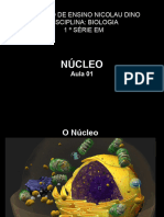 Aula 01 - Nucleo