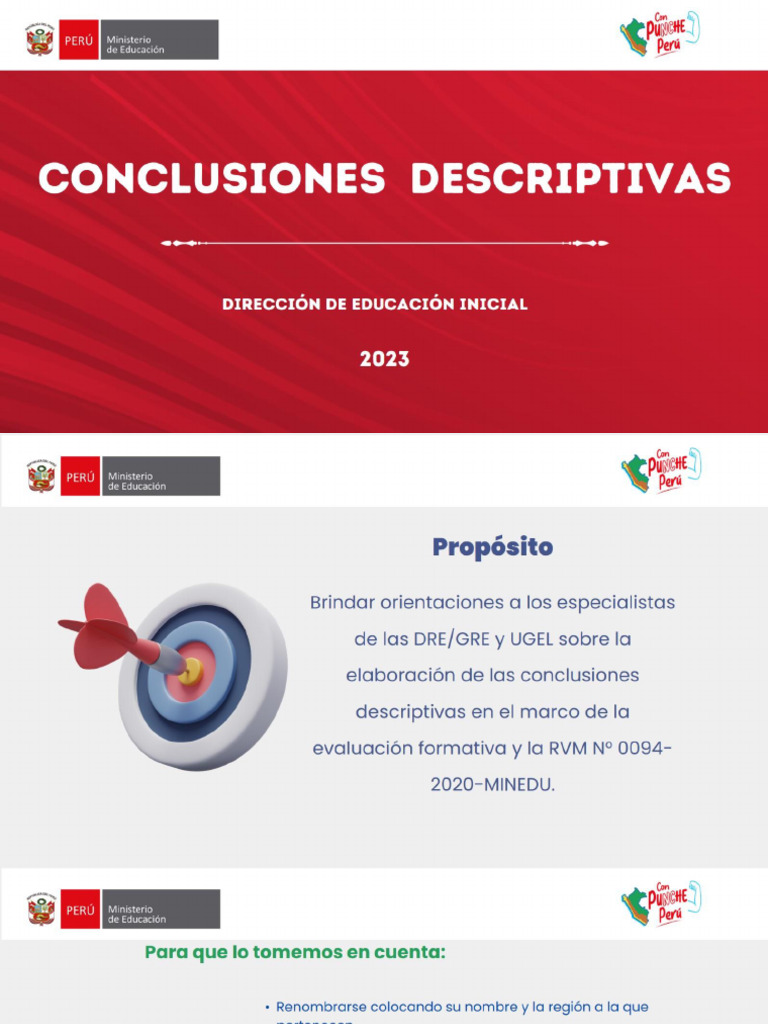 Conclusiones Descriptivas-241023-F-P-2510 | PDF