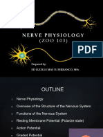 Nerve Physiology PDF