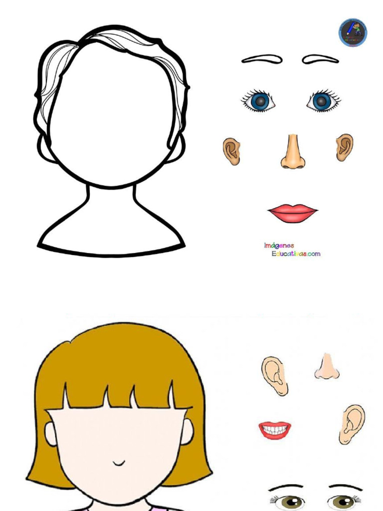Partes Del Cuerpo | PDF