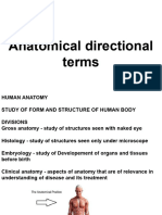 Anatomical Directional Terms