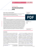 (14796821 - Endocrine-Related Cancer) 15 YEARS OF PARAGANGLIOMA - Pathology of Pheochromocytoma and Paraganglioma