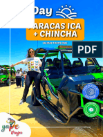 Full Day Paracas Ica - Viajes