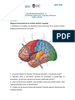 Guía de TDD #12 - 2023 Funciones Cerebrales Superiores