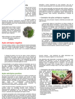 Ação Antrópica No Meio Ambiente (Geografia)