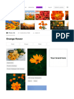 550+ Orange Flower Pictures - Download Free Images On Unsplash