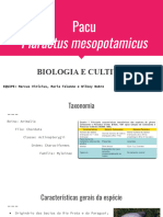 Cultivo Do Pacu - Trabalho