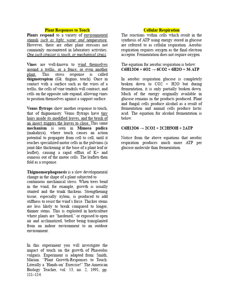 Plant Touch Responses and Growth Effects | PDF | Polymerase Chain ...