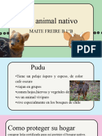 Mi Animal Nativo Maite Freire