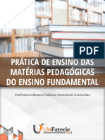 Prática de Ensino Das Matérias Pedagógicas Do Ensino Fundamental