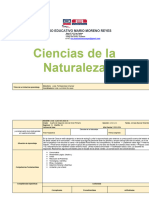 Planificacion Ciencias Naturales 4to Nueva Adecuacion 2023 2024 (1) .Docx - Word