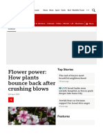 Flower Power - How Plants Bounce Back After Crushing Blows - BBC News