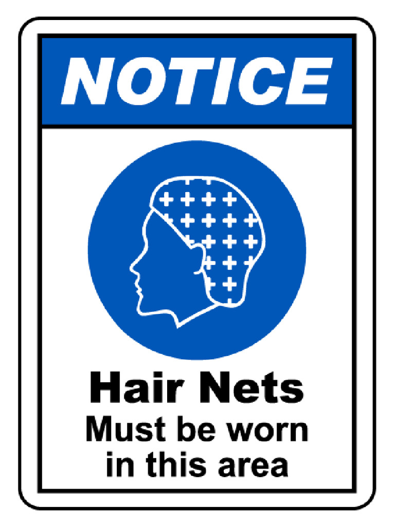 Hair Net PDF
